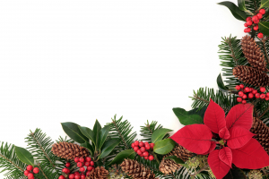 christmas shop