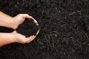 premium hardwood mulch